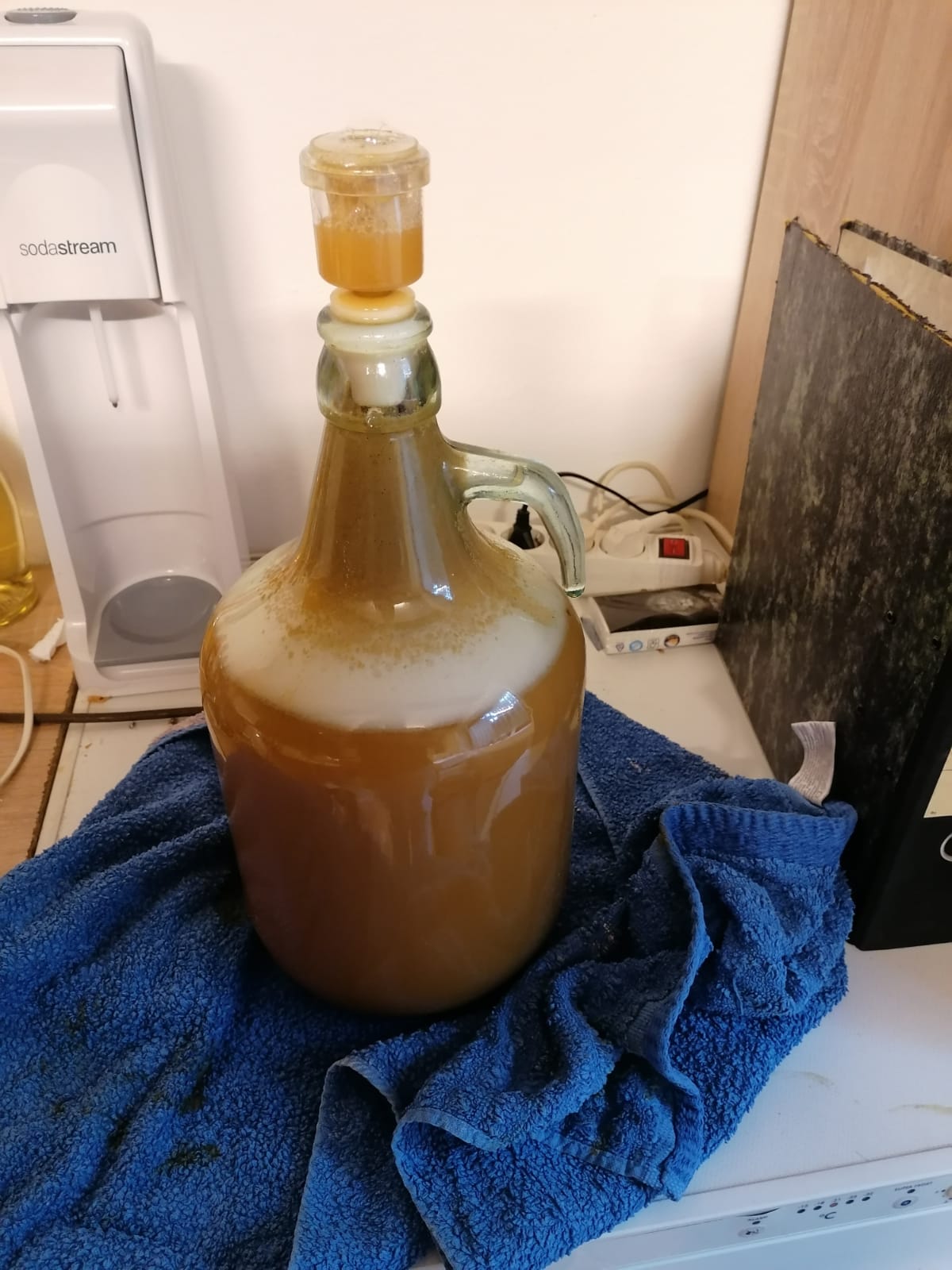 Flaschen Bier